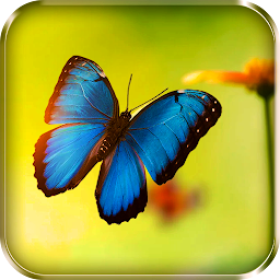 Imagen de icono Fondos animados de mariposas