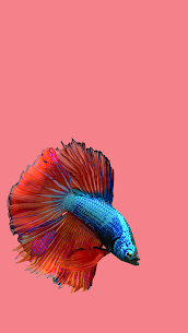 Betta Fish 3D – 3D Live Wallpaper APK v2.0.7 5