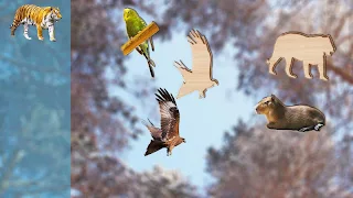 Puzzles for Kids Animals Full - Screenshot 2