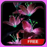 Glitter Lilies Live Wallpaper LWP Background Theme icon