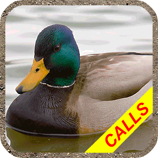 Duck hunting calls Pro:  Water 4.9 Icon