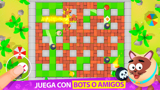 Vista previa de la aplicación