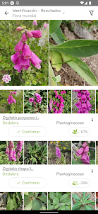 PlantNet Identifica Plantas