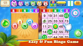 Game screenshot Bingo Pool:No WiFi Bingo Games mod apk