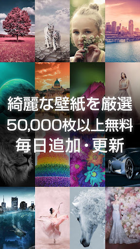 綺麗な高画質壁紙 美しい背景画像 By Dolice Net Google Play 日本 Searchman アプリマーケットデータ