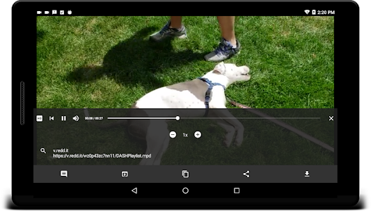 Viewdeo Reddit Video Sharing Paid Apk made Simple 4