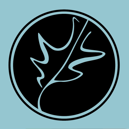 Cuyahoga Valley Church logo