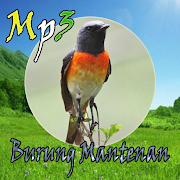 Kicau Burung Mantenan Mp3  Icon