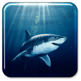 Shark Live Wallpaper icon