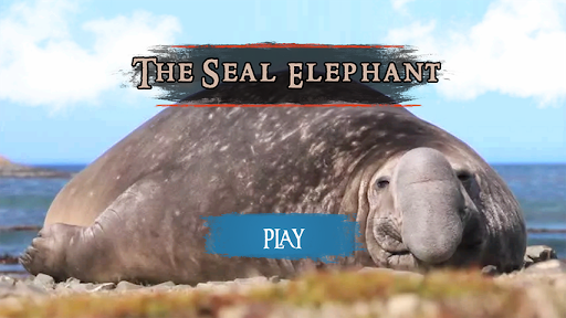 The Seal Elephant Screen 2