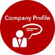 Company Profile Download on Windows