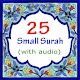 25 Small Surah of The Quran Download on Windows