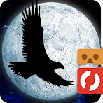 Moon Bird