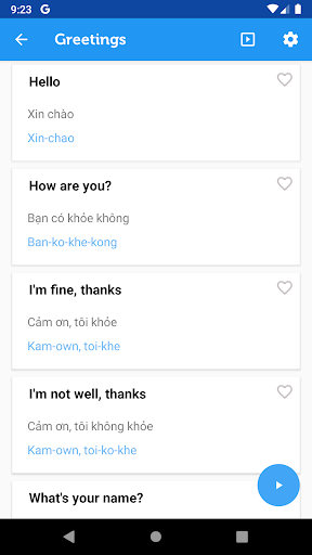 Learn Vietnamese Phrasebook Screen 2
