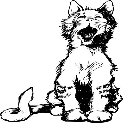 Cat Meow Sound logo
