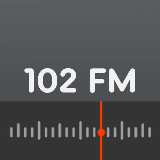 Rádio Blink 102 FM logo