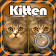 Find the difference - Kittens icon