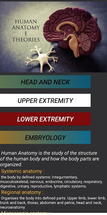 Human Anatomy E Theories - 0.34 - (Android)