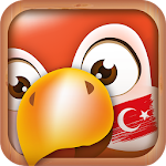 Cover Image of Download Learn Turkish Phrases  APK