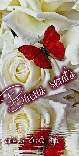 Buona Sera Immagini gif