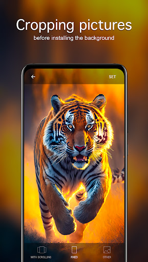 Screenshot of Tiger Wallpapers 4K