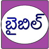 Telugu Bible icon