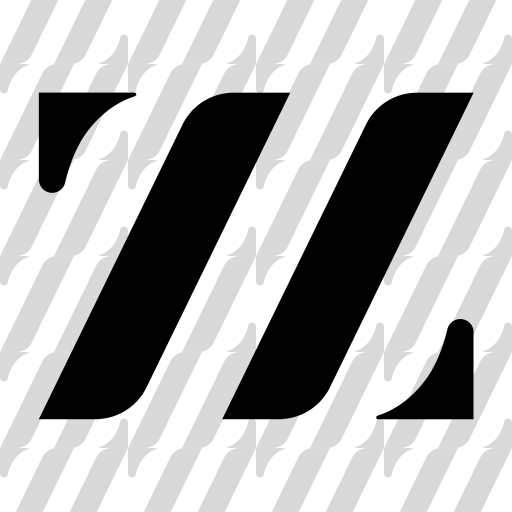 Succezz The Store logo