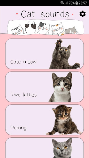 Android application Cat Sounds screenshort