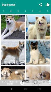 Dog Video Creator (Dog Sounds) スクリーンショット