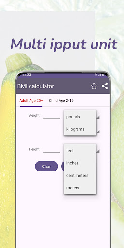 BMI Calculator