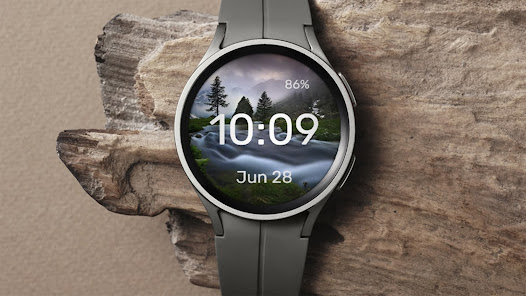 Screenshot image