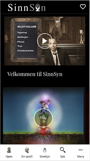 Android application SinnSyn screenshort