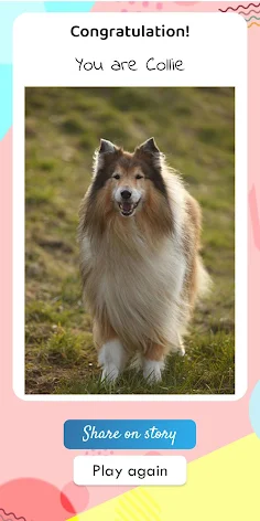 What dog breed am I? Test - Screenshot 4