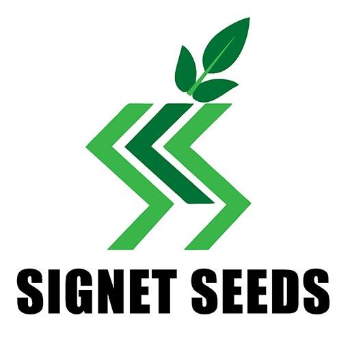 Signet Seeds