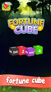 Fortune Cube