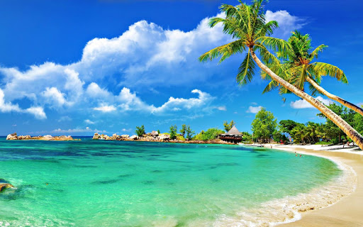 Beach Jigsaw Puzzles Screen 3
