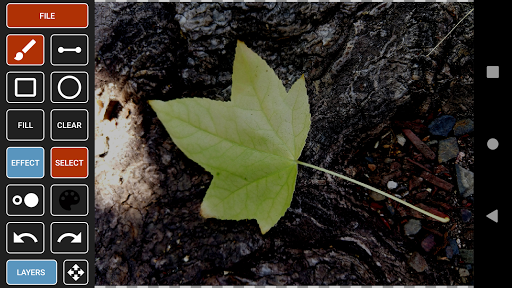 Photo Pop Screen 3