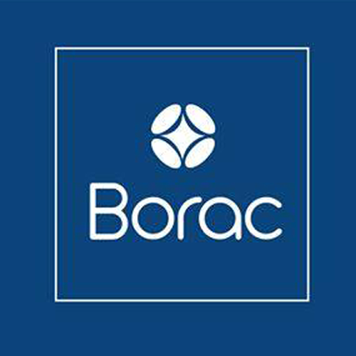 BORAC RIDER 6.0 Icon