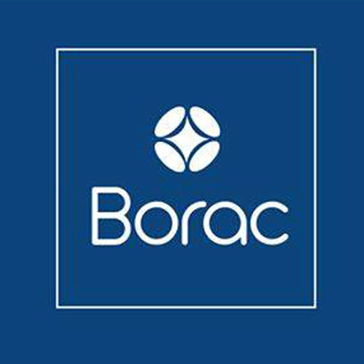 BORAC RIDER logo