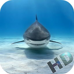 Icon image Sharks Video Live Wallpaper