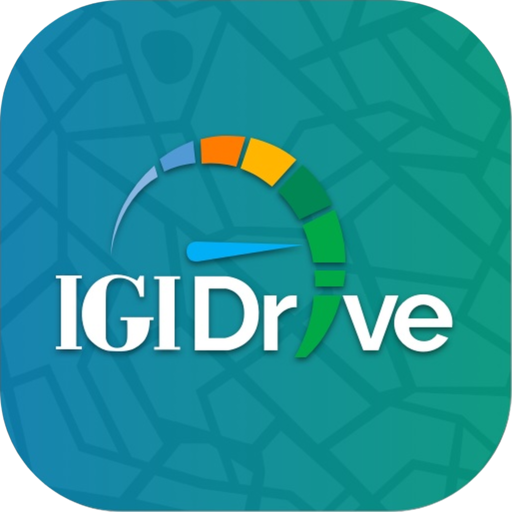 IGI Drive logo