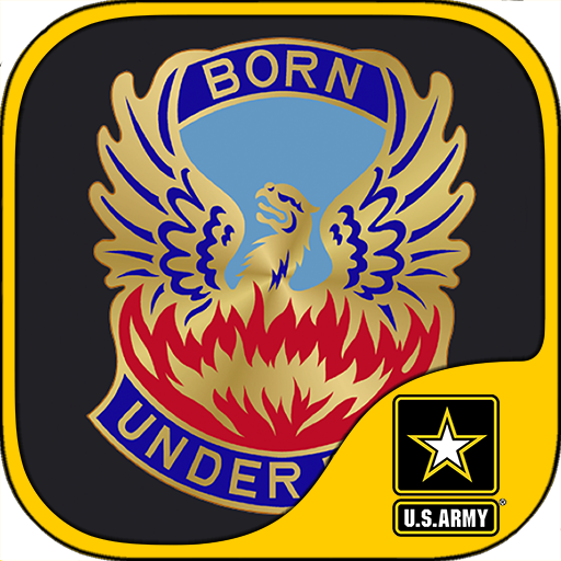 128th Aviation BG Standards logo