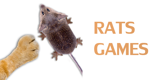 Games for cat – catch the rat 1