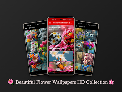 Beautiful Flower Wallpapers HD