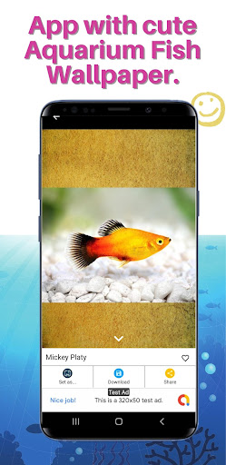 Android application Aquarium Fish WallPaper screenshort