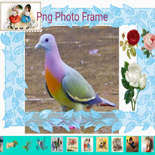 Png Photo Frame logo