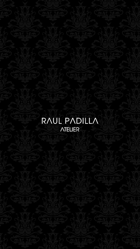 Raul Padilla Atelier Screen 3