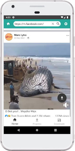 Social Media Video Downloader Screen 2