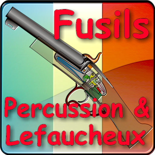 Fusils à percussion et broche