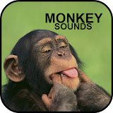 Monkey Sounds icon